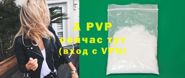 spice Усинск