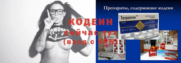 хмурый Алексин