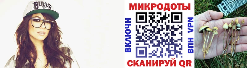 что такое   Шиханы  Псилоцибиновые грибы Psilocybe 